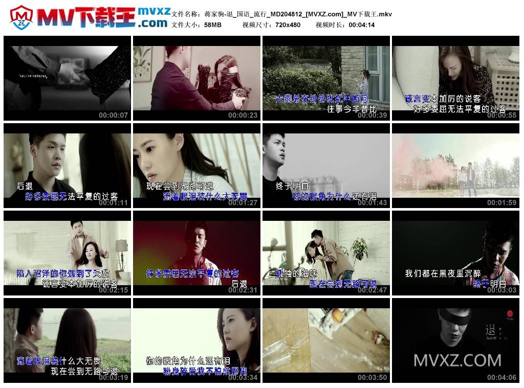 蒋家驹-退_国语_流行_MD204812